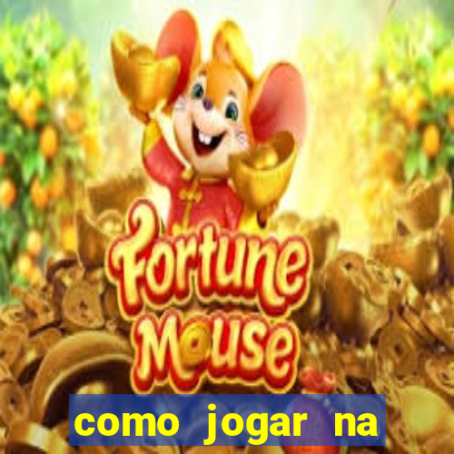 como jogar na teimosinha da lotofacil