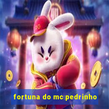 fortuna do mc pedrinho