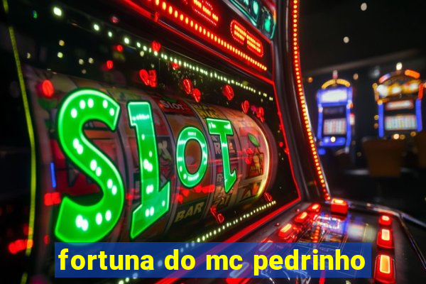 fortuna do mc pedrinho