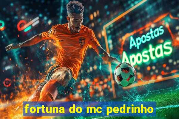 fortuna do mc pedrinho