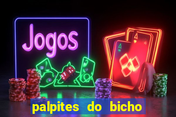 palpites do bicho no celular