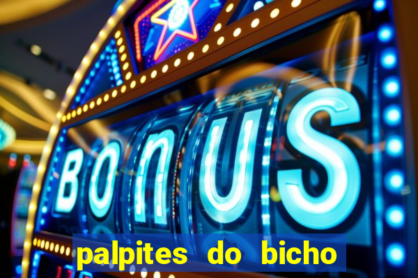 palpites do bicho no celular