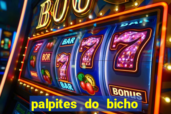 palpites do bicho no celular