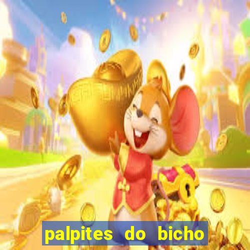 palpites do bicho no celular