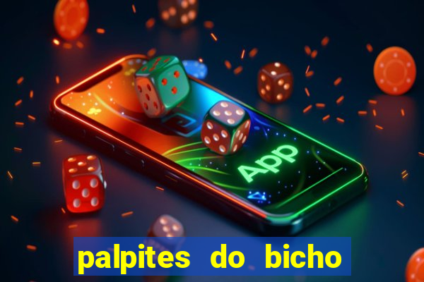 palpites do bicho no celular