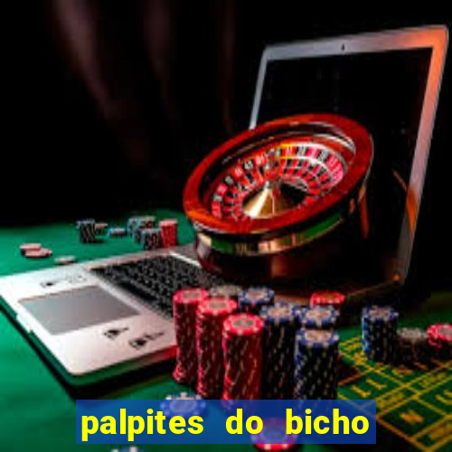 palpites do bicho no celular