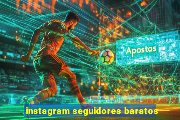 instagram seguidores baratos