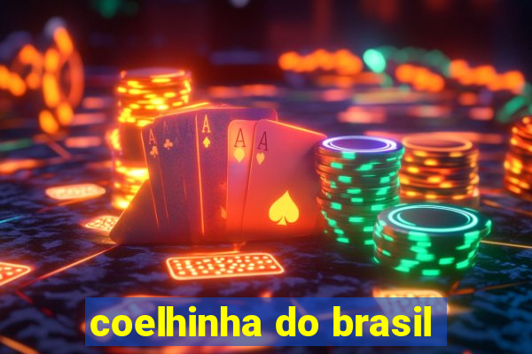 coelhinha do brasil