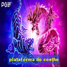 plataforma do coelho