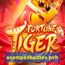 acompanhantes pvh