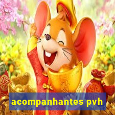 acompanhantes pvh