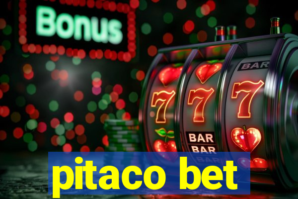 pitaco bet