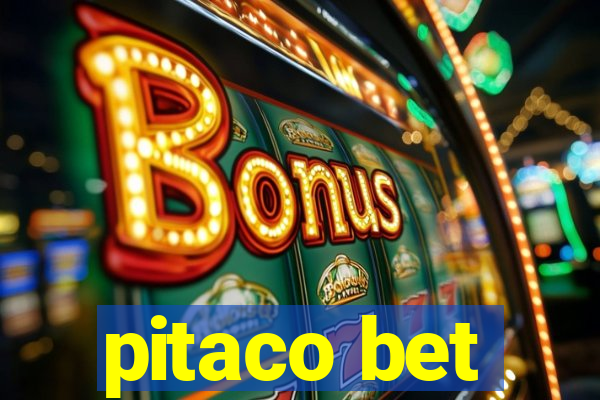 pitaco bet