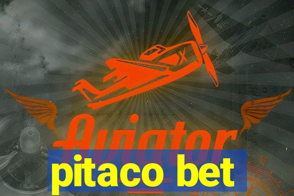 pitaco bet