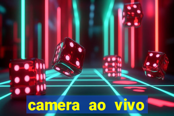 camera ao vivo beto carrero