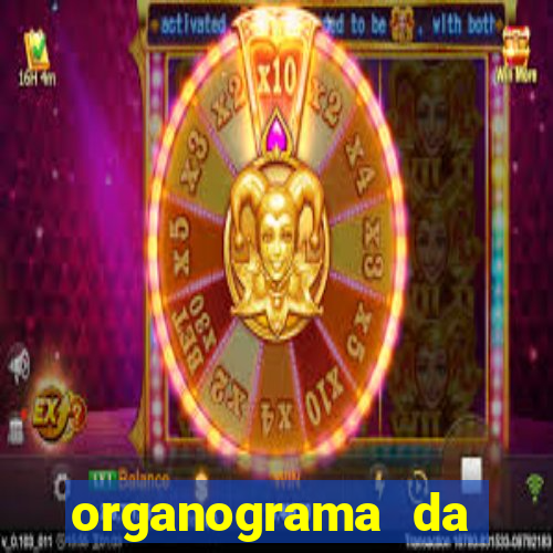 organograma da cacau show