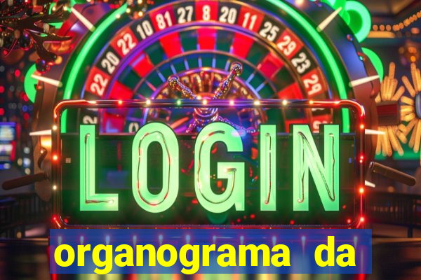 organograma da cacau show