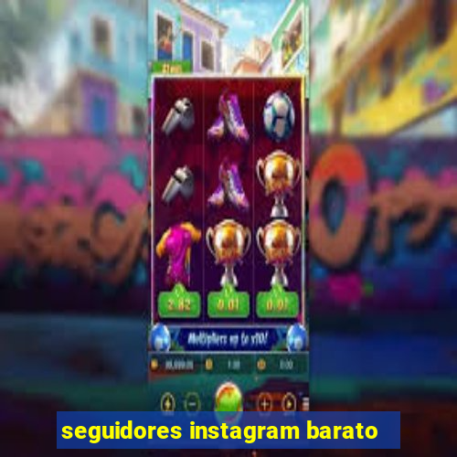 seguidores instagram barato