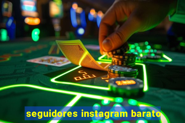 seguidores instagram barato