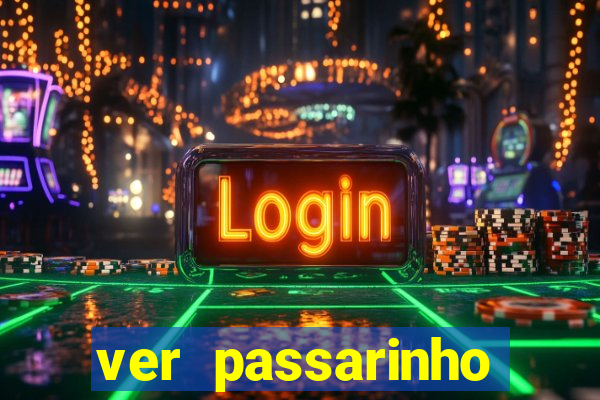 ver passarinho morto significado