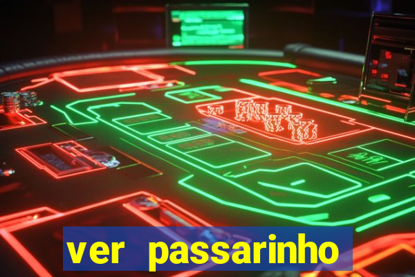 ver passarinho morto significado