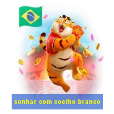 sonhar com coelho branco