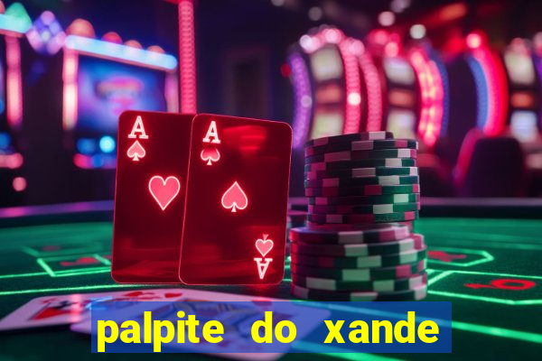 palpite do xande de hoje