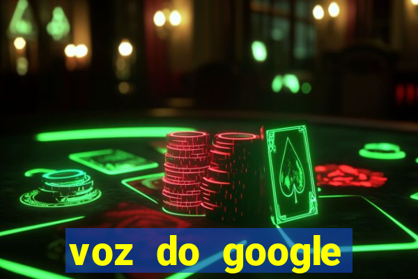 voz do google tradutor homem