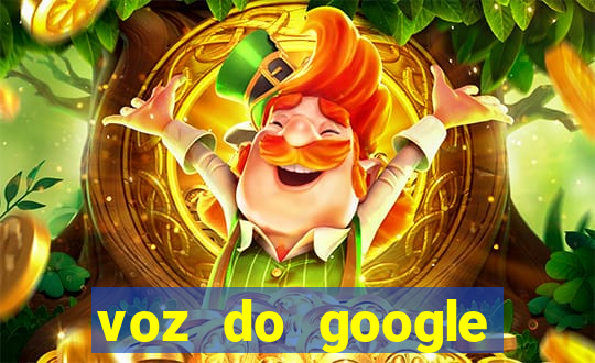 voz do google tradutor homem