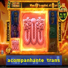 acompanhante trans santos sp