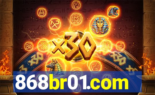 868br01.com