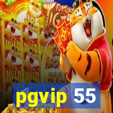 pgvip 55