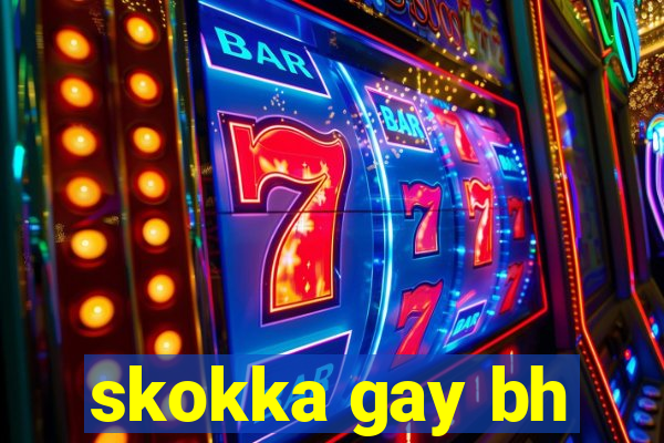 skokka gay bh