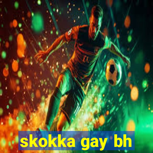 skokka gay bh