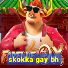 skokka gay bh