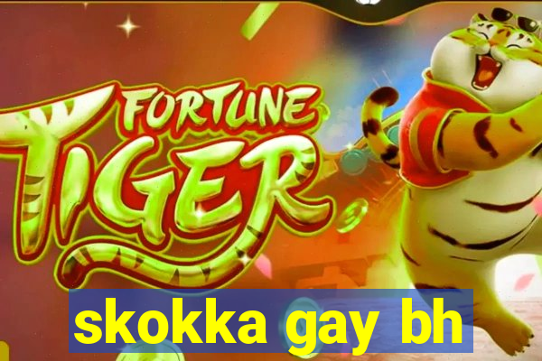 skokka gay bh