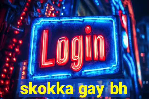 skokka gay bh