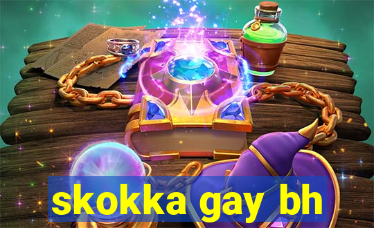 skokka gay bh