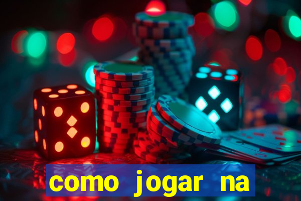 como jogar na lotinha do jogo do bicho