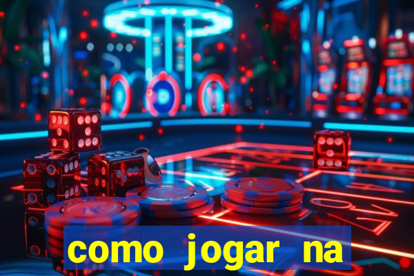 como jogar na lotinha do jogo do bicho