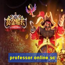 professor online sc