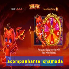 acompanhante chamada de video