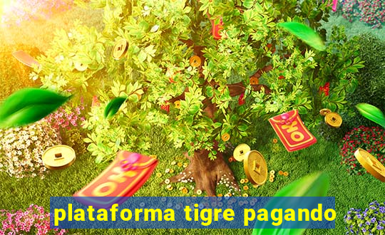 plataforma tigre pagando