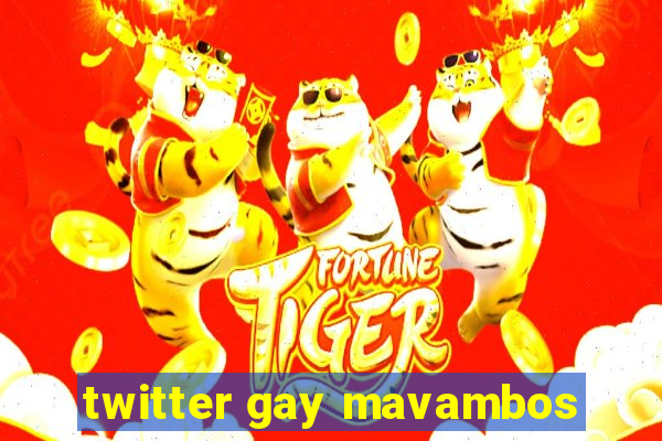 twitter gay mavambos