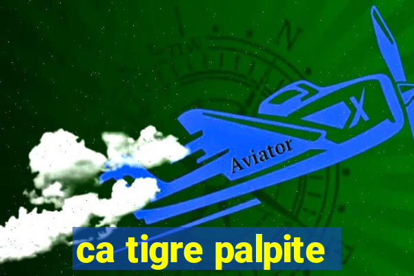 ca tigre palpite