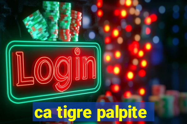 ca tigre palpite