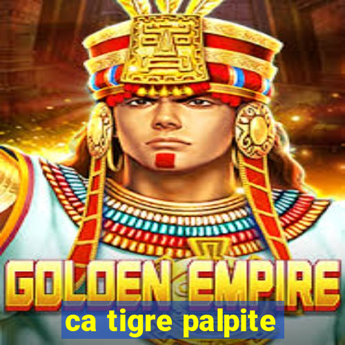 ca tigre palpite