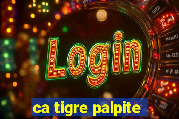 ca tigre palpite