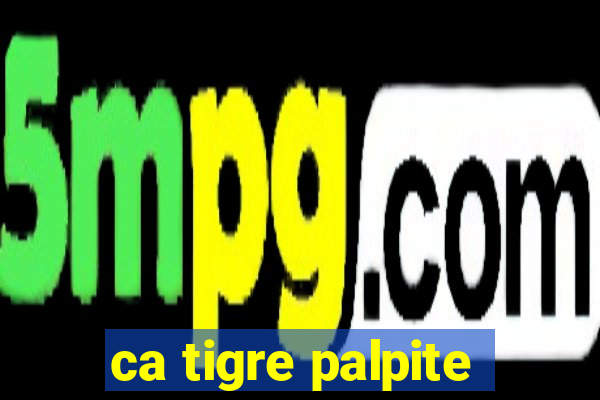 ca tigre palpite