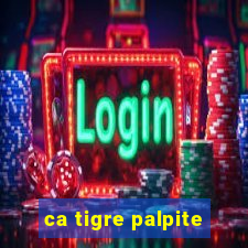 ca tigre palpite